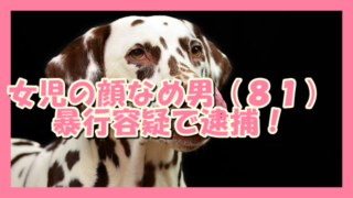 サムネ190823女児の顔なめ男逮捕