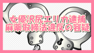サムネ191116沢尻エリカ逮捕